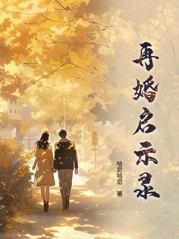 再婚启示录