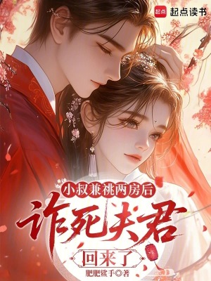 兼祧两房后，诈死夫君回来了